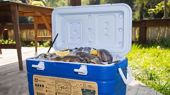 Особенности