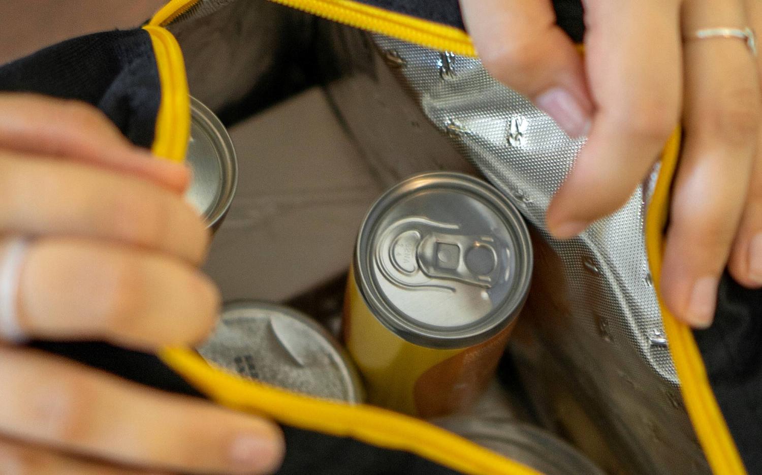 Лаконичный дизайн и универсальные расцветки термосумки для ланча «Арктика» везде впишутся и будут кстати под рукой и в автомобиле. 